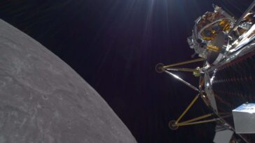 New Scientist. Science news and long reads from expert journalists, covering developments in science, technology, health and the environment on the website and the magazine.