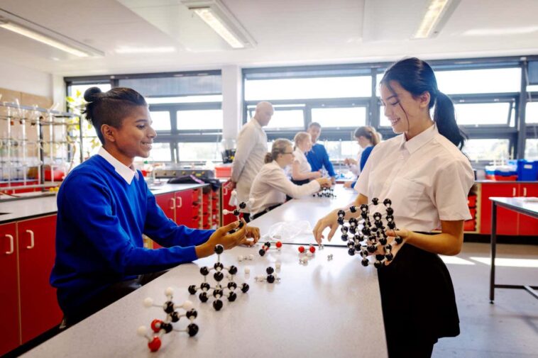 L'éducation aide-t-elle à construire une réserve cognitive pour conjurer la démence?