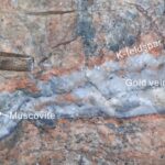 L'étude trouve que le potassium joue un rôle limité dans la minéralisation de l'or