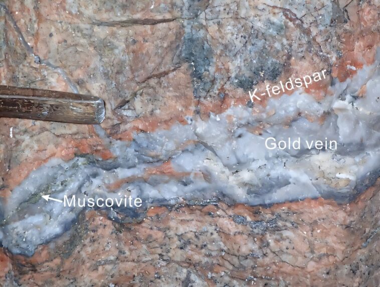 L'étude trouve que le potassium joue un rôle limité dans la minéralisation de l'or
