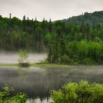 L'extinction de masse du Permien liée à une augmentation de température mondiale de 10 ° C qui a remodelé les écosystèmes de la Terre