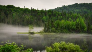 L'extinction de masse du Permien liée à une augmentation de température mondiale de 10 ° C qui a remodelé les écosystèmes de la Terre