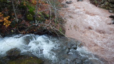 L'outil IA de premier ordre peut prédire la qualité de l'eau aux États-Unis