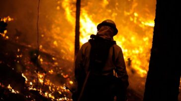 La Californie ne dégage pas les forêts assez rapidement pour apprivoiser les incendies de forêt