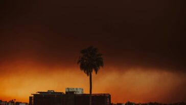 La Californie suspend les lois environnementales pour accélérer la reconstruction des services publics après LA Fires