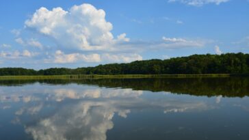 La Pennsylvanie a fait des progrès dans le nettoyage de la baie de Chesapeake. Mais est-ce suffisant?