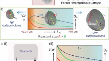 La catalyse progressive: une nouvelle approche poreuse à film mince améliore l'efficacité de la réaction