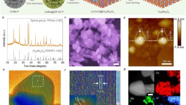 La conception rationnelle des précatalyseurs augmente l'efficacité de la production d'hydrogène