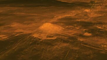 La convection dans la croûte pourrait-elle expliquer les nombreux volcans de Vénus?