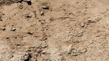 La curiosité du Rover de la NASA a trouvé les molécules de carbone la plus longue de chaîne à ce jour sur Mars