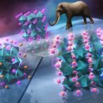 La découverte de l'amorphisation des charges provoquée par la pression: une nouvelle touche dans les transformations de matériaux