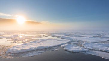 La glace de mer arctique plus mince peut affecter l'AMOC, disent les scientifiques