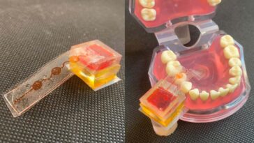 La langue électronique pourrait vous laisser goûter le gâteau dans la réalité virtuelle