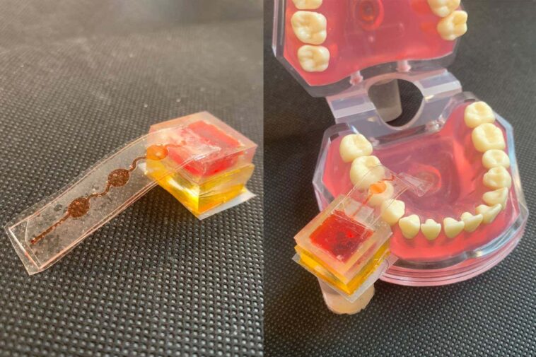 La langue électronique pourrait vous laisser goûter le gâteau dans la réalité virtuelle