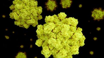 La pilule vaccinale du norovirus est prometteuse contre le bogue de «vomissements d'hiver»