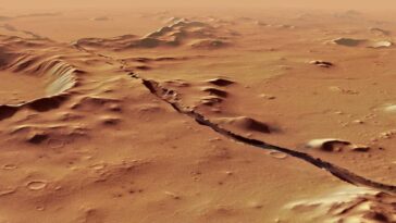 New Scientist. Science news and long reads from expert journalists, covering developments in science, technology, health and the environment on the website and the magazine.