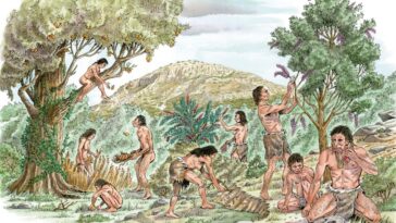 La plus grande coïncidence de l'évolution humaine