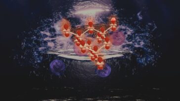 La première caractérisation complète de la supraconductivité non conventionnelle résultant de moments multipolaires