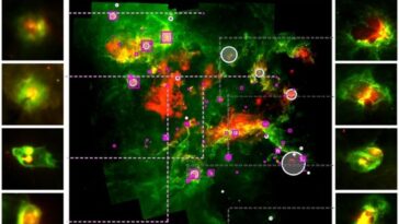 La reconnaissance d'image de l'IA détecte les structures de bulles dans l'univers