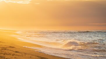 La rétroaction de nuage - Radiation s'est révélée essentielle à diverses projections de réchauffement du Pacifique tropical