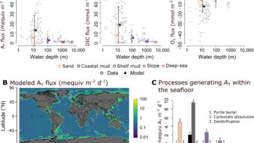 La simulation montre un impact sur le chalutage et le dragage Les processus derrière la production d'alcalinité océanique naturelle
