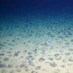 La vie profonde se remet encore de l'activité minière il y a 40 ans