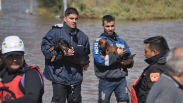 La ville portuaire de l'Argentine `` détruite '' par une tempête de pluie massive, 13 morts