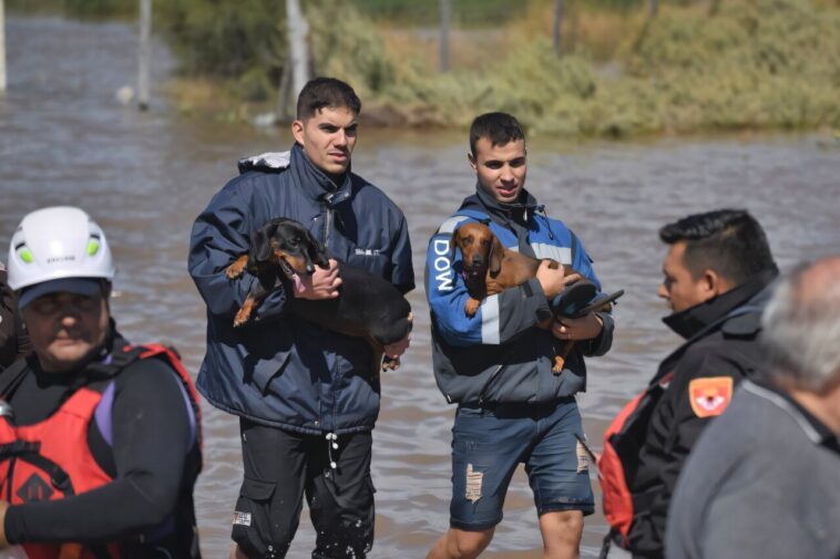 La ville portuaire de l'Argentine `` détruite '' par une tempête de pluie massive, 13 morts La ville portuaire de l'Argentine `` détruite '' par une tempête de pluie massive, 13 morts