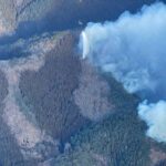 Le Japon déploie 2 000 pompiers pour s'attaquer à Forest Blaze