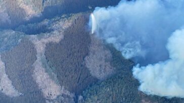 Le Japon déploie 2 000 pompiers pour s'attaquer à Forest Blaze