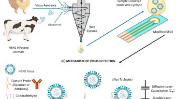 Le biocapteur portable peut détecter la grippe des oiseaux en suspension dans l'air en moins de cinq minutes