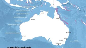 Le blanchiment de masse «choquant» draine la vie des récifs australiens