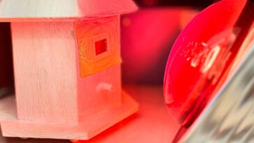 Le bois fabriqué transparent à l'aide de riz et de blancs d'œufs pourrait remplacer les fenêtres