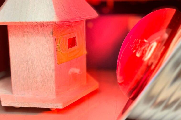 Le bois fabriqué transparent à l'aide de riz et de blancs d'œufs pourrait remplacer les fenêtres Le bois fabriqué transparent à l'aide de riz et de blancs d'œufs pourrait remplacer les fenêtres