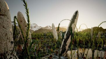 Le fossile bizarre était peut-être un type de vie entièrement nouveau