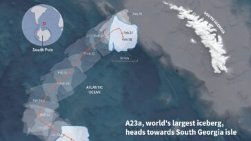 Le plus grand iceberg du monde s'échoue, épargnant Wildlife Haven Island