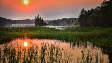 Le projet de loi de Californie restaurerait les protections des zones humides à la suite de la décision de la Cour suprême