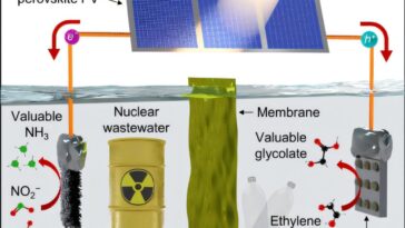 Le système à énergie solaire convertit les déchets en ammoniac et en acide glycolique