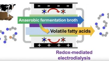 Le système de nanofiltration sépare les produits chimiques industriels précieux du fumier de bétail