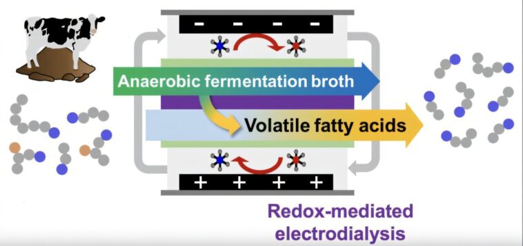 Le système de nanofiltration sépare les produits chimiques industriels précieux du fumier de bétail