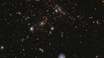 Le télescope spatial Euclide capture 26 millions de galaxies lors de la première chute de données