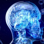 Les 13 médicaments et suppléments qui pourraient ralentir le vieillissement du cerveau