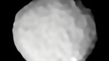 Les astéroïdes de la famille Pallas révèlent des profils spectroscopiques bleus uniques