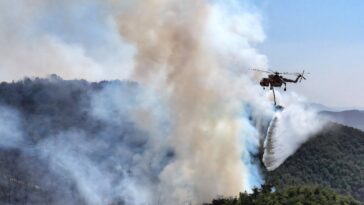 Les autorités de la Corée de la Corée déploient des hélicoptères, des troupes pour combattre les incendies de forêt