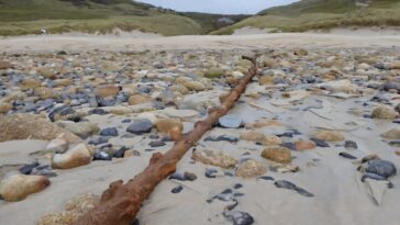 Les câbles sous-marins gardent le monde connecté. Ils peuvent également nous aider à étudier le changement climatique