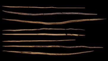 Les chasseurs anciens ont peut-être utilisé le lancement de lances il y a 300 000 ans