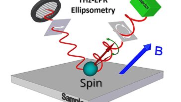 Les chercheurs découvrent l'équivalent magnétique de la relation Lyddane-Sachs-Teller