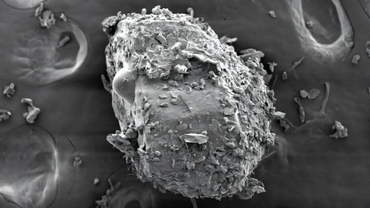 Les chercheurs documentent la taille des particules de la poussière du ménage trouvé sur les mains des enfants après le jeu