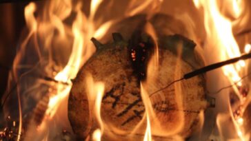 Les coléoptères mangeurs de bois peuvent faire en sorte que les incendies de forêt émettent encore plus de carbone