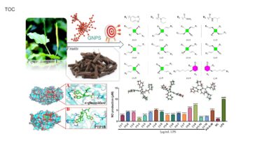 Les composés actifs des fruits de Piper Longum présentent un potentiel pour les aliments fonctionnels et les médicaments